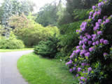 Langenwetzendorfer Park